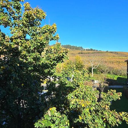 Le Petit Nid Daire Bergheim Dış mekan fotoğraf
